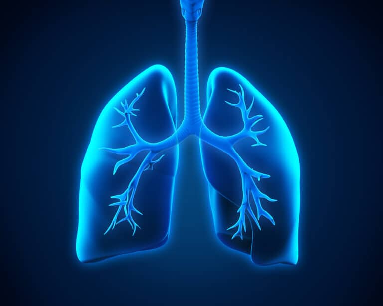 Senior Care in San Francisco CA: World Lung Cancer Day