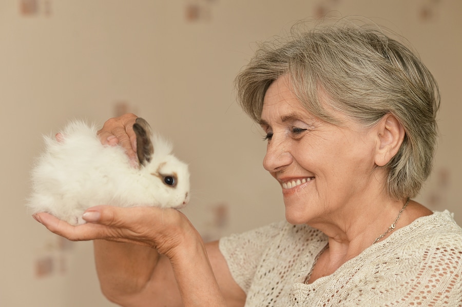 Homecare in Pacifica CA: International Rabbit Day