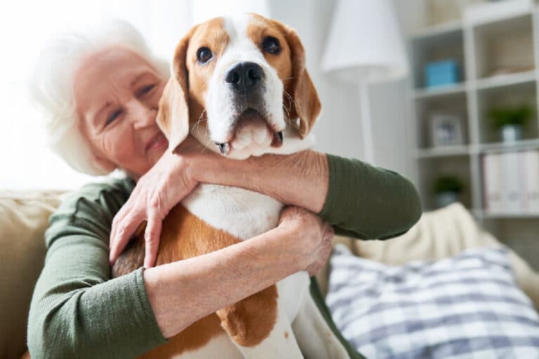 Senior Care in Los Altos CA: Pet Therapy